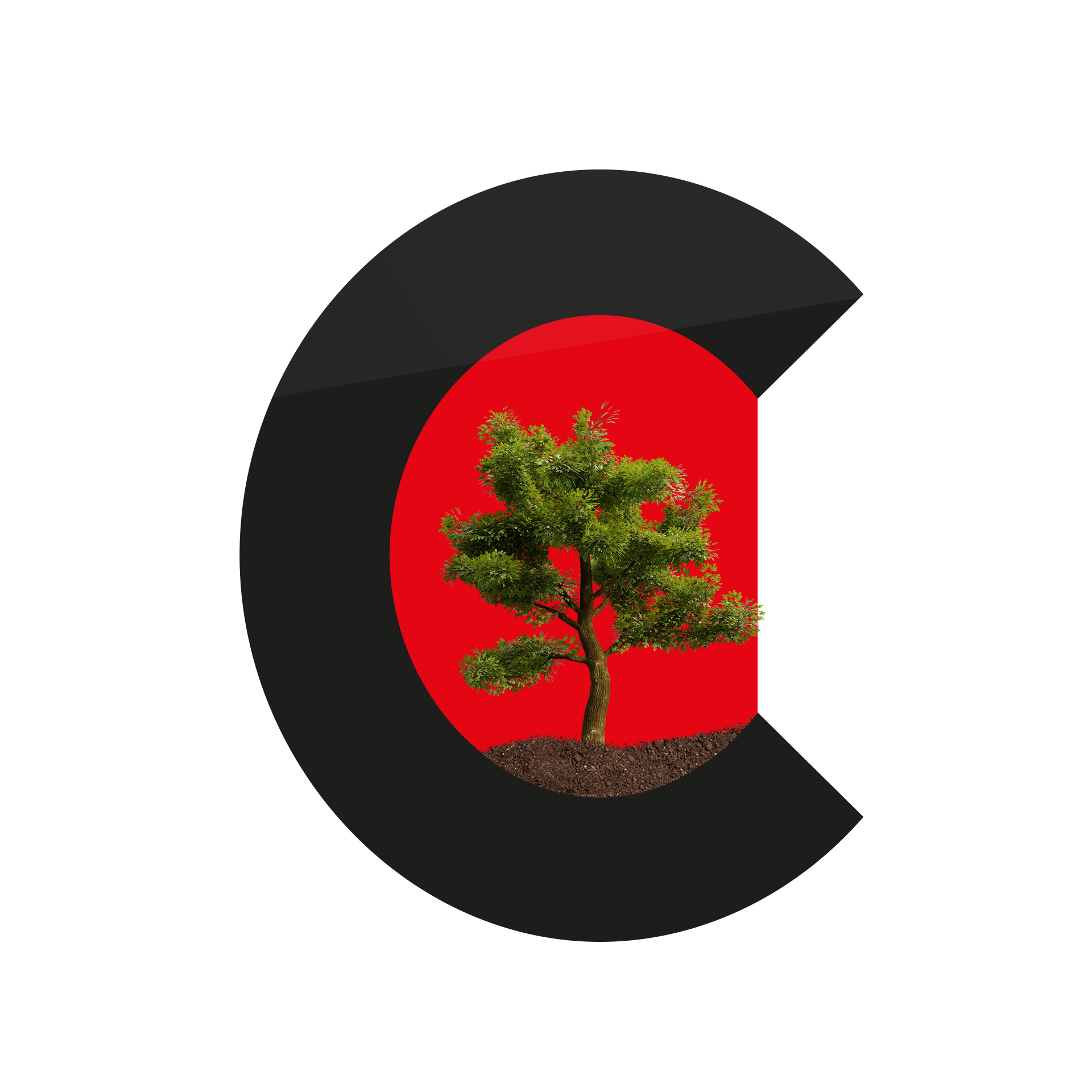 C. Ecoraes