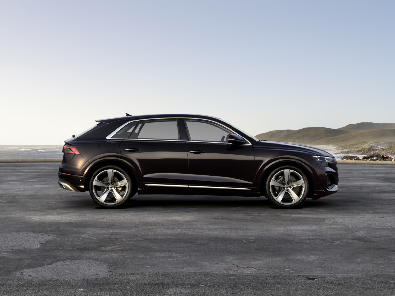 RAES_AUTOGROEP_AUDI_Q-8