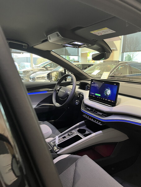 SKODA ELROQ