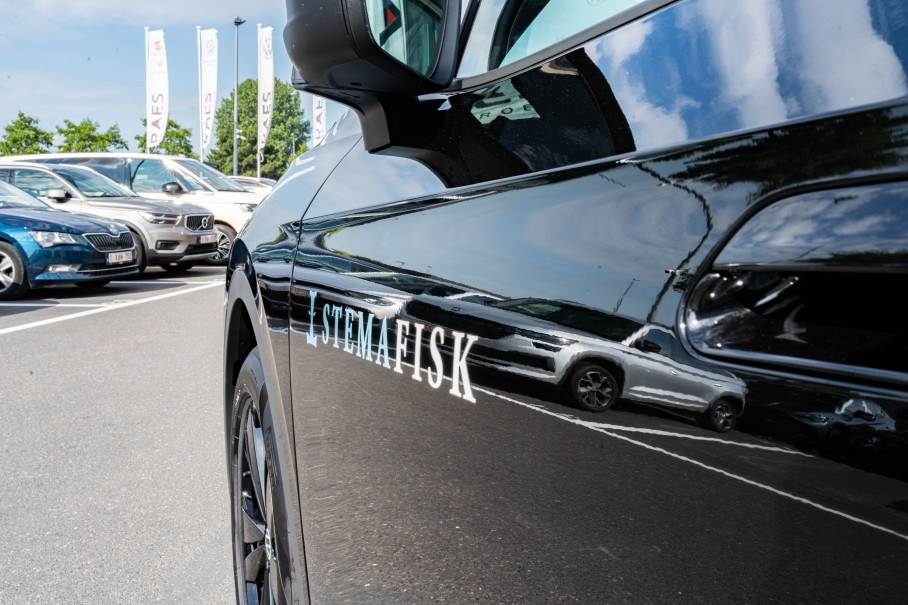 Groepslevering Stemafisk