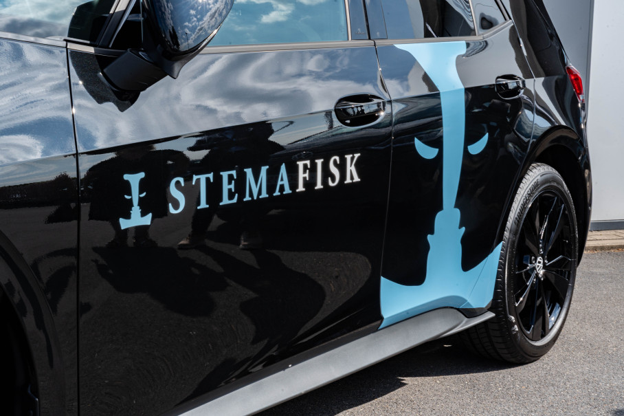 Groepslevering Stemafisk
