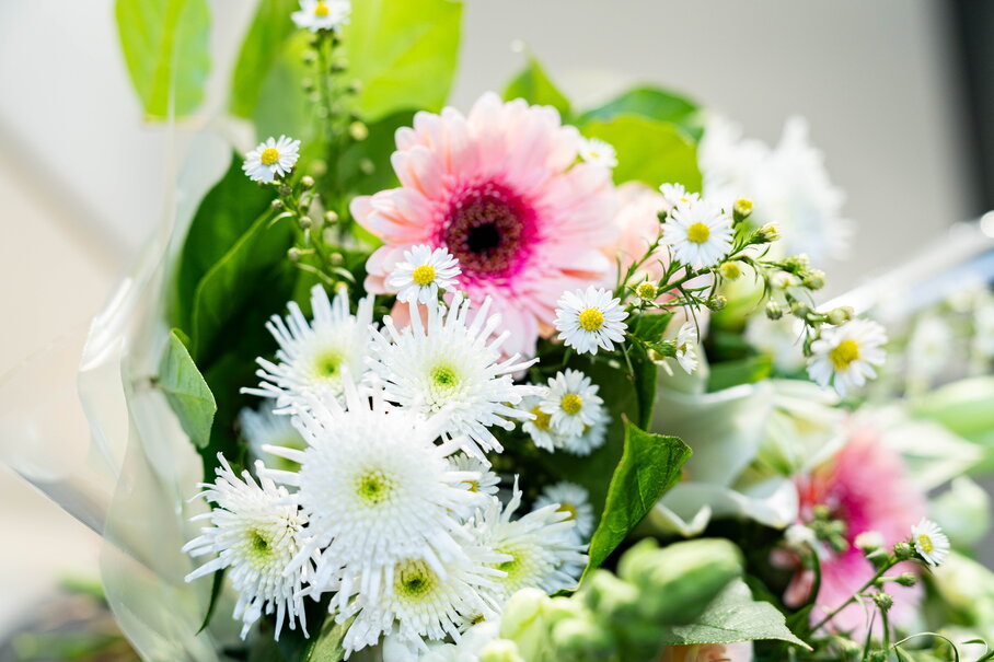 Škoda Enyaq levering Metagenics