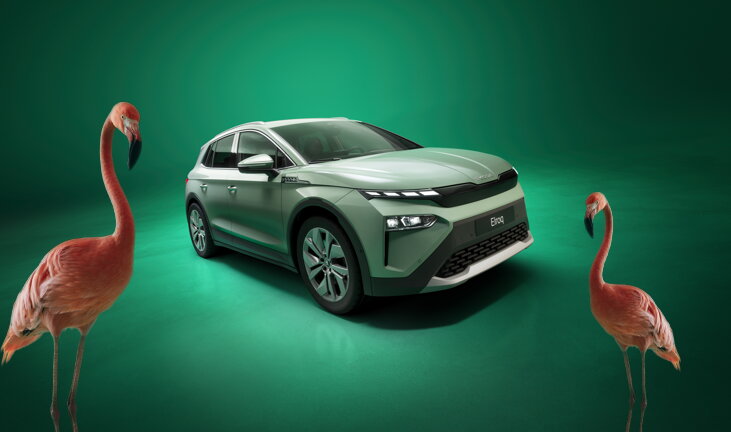 Win een avontuurlijk weekend in Pairi Daiza