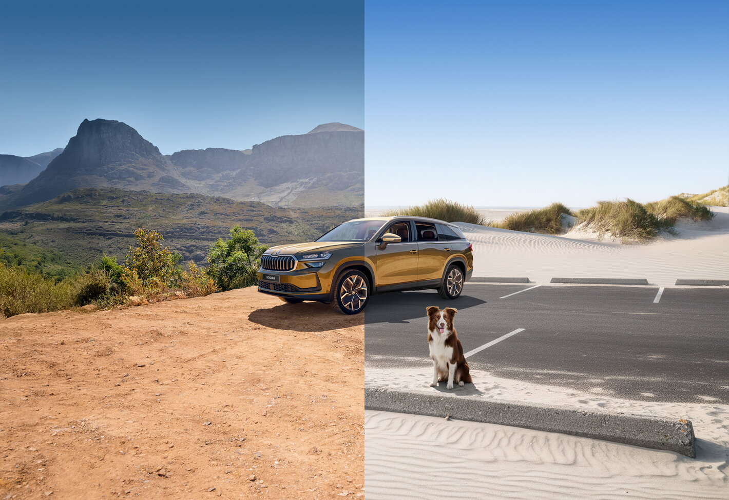 Saloncondities Škoda